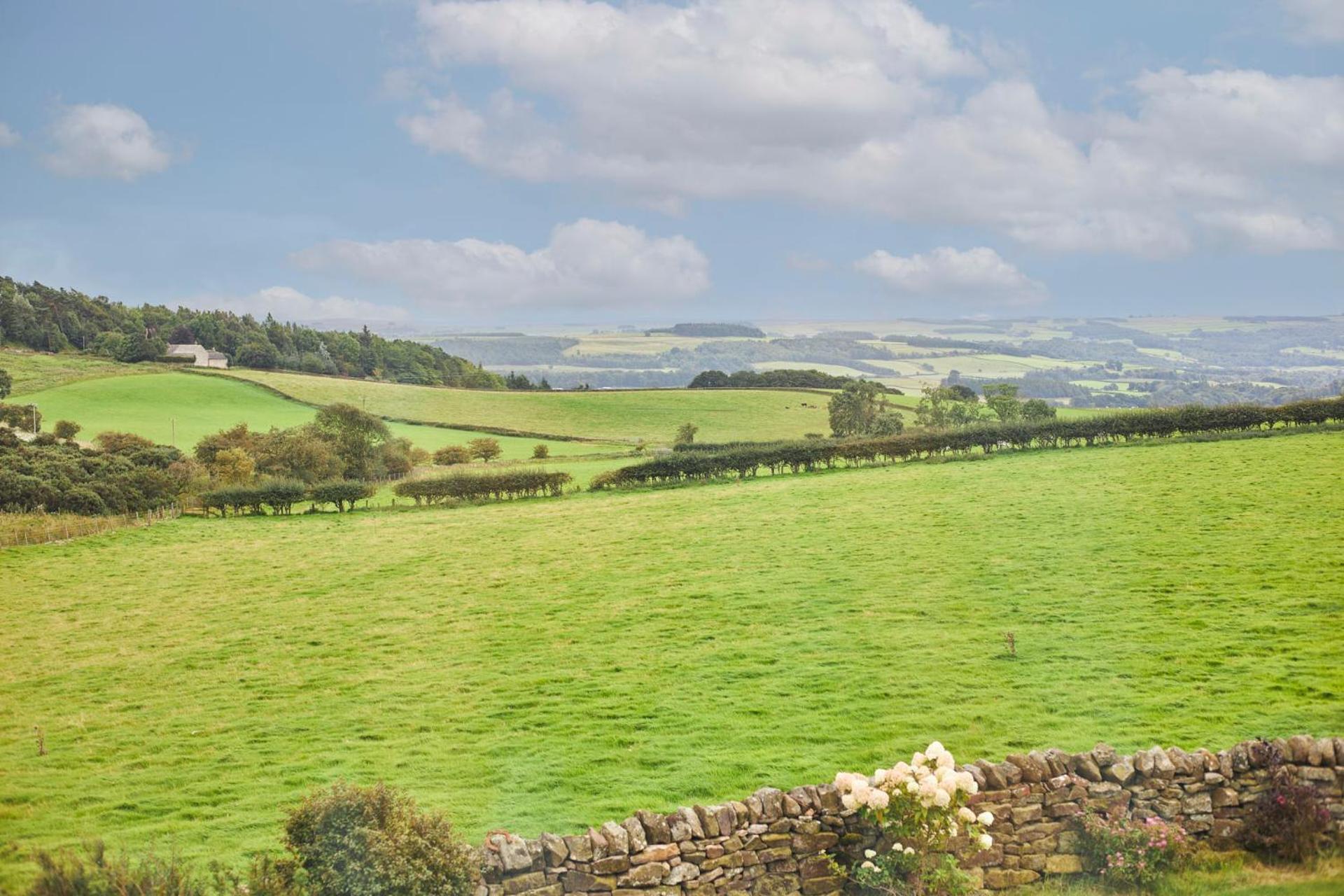 Host & - Carr Edge